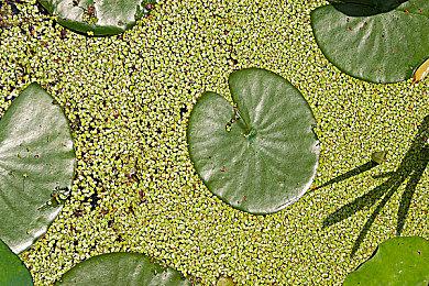 《使命召唤：现代战争3》Steam商店页面上线 可加愿望单