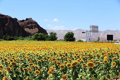 像素版《战地》超6万人在线 Steam特别好评